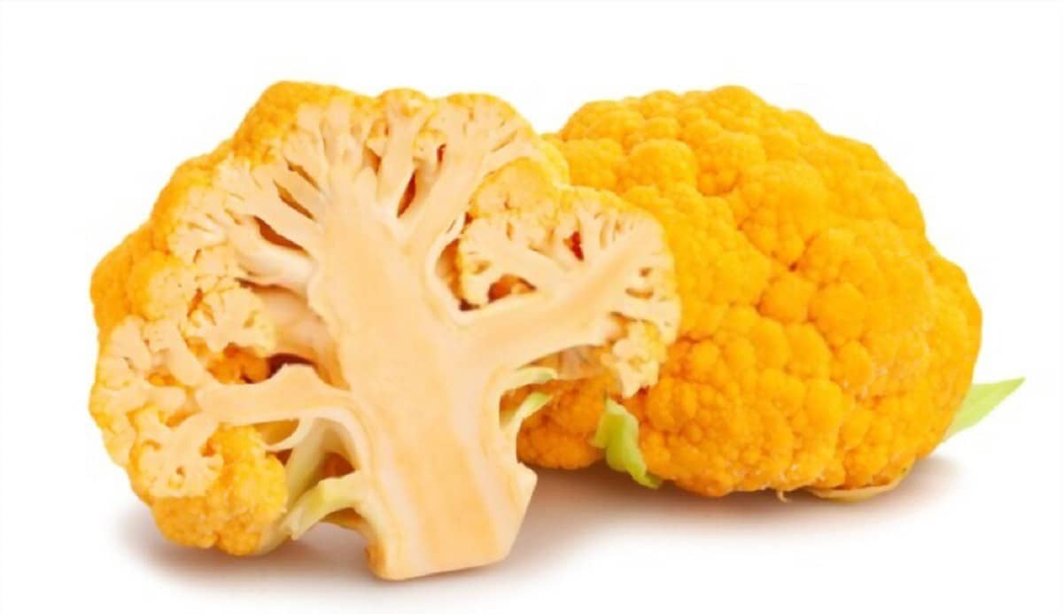 خرید گل کلم زرد ترشی + قیمت فروش استثنایی